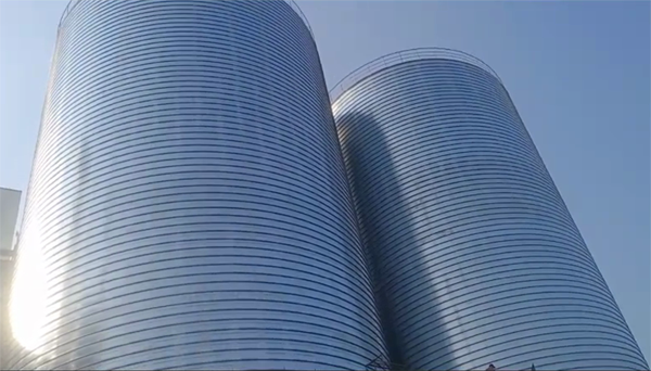 立山2座混凝土高架卷板仓